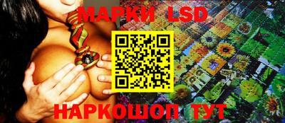 apvp Кунгур
