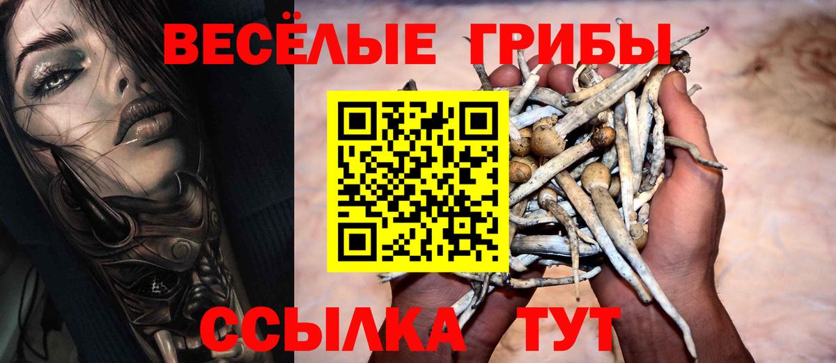 Галлюциногенные грибы GOLDEN TEACHER  Вход с VPN  купить закладку  Псилоцибиновые грибы Cubensis  Егорьевск 